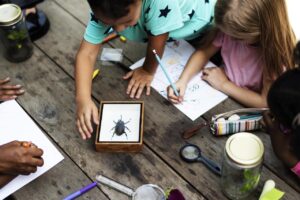 Nachhaltigkeit in der Schule - Schüler untersuchen Insekten